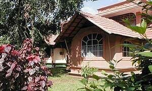 Madhuca