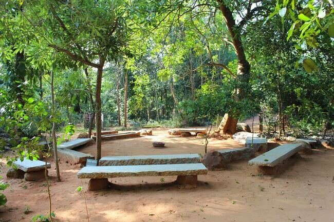 Forest Group