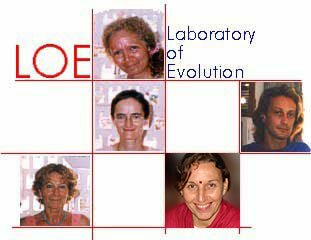 loe1