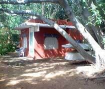 srima