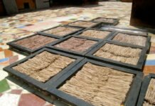 Компания обработки органической продукции в поселке Коттакарай