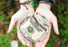 Перечень финансовых структур, поддержавших Ауровиль