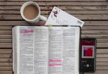 Службы Ауровиля. Справочник.