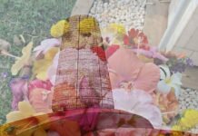 Ежедневные пешеходные экскурсии по Ауровилю стартуют от Visitors Center