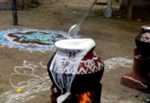 Праздник урожая Понгал