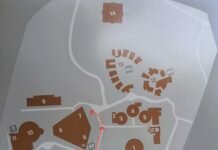 Информация для прибывающих и прибывших в Ауровиль